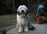 1 year old